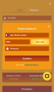 Enter the code you received.