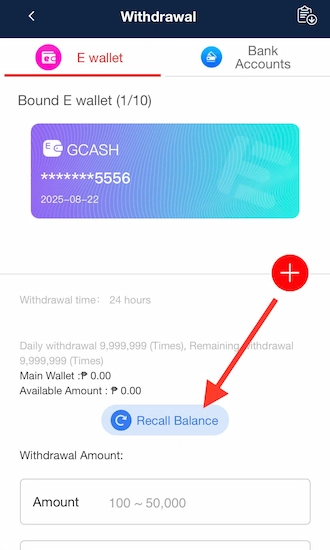 🔆Step 1: Click on the "Recall Balance" button.